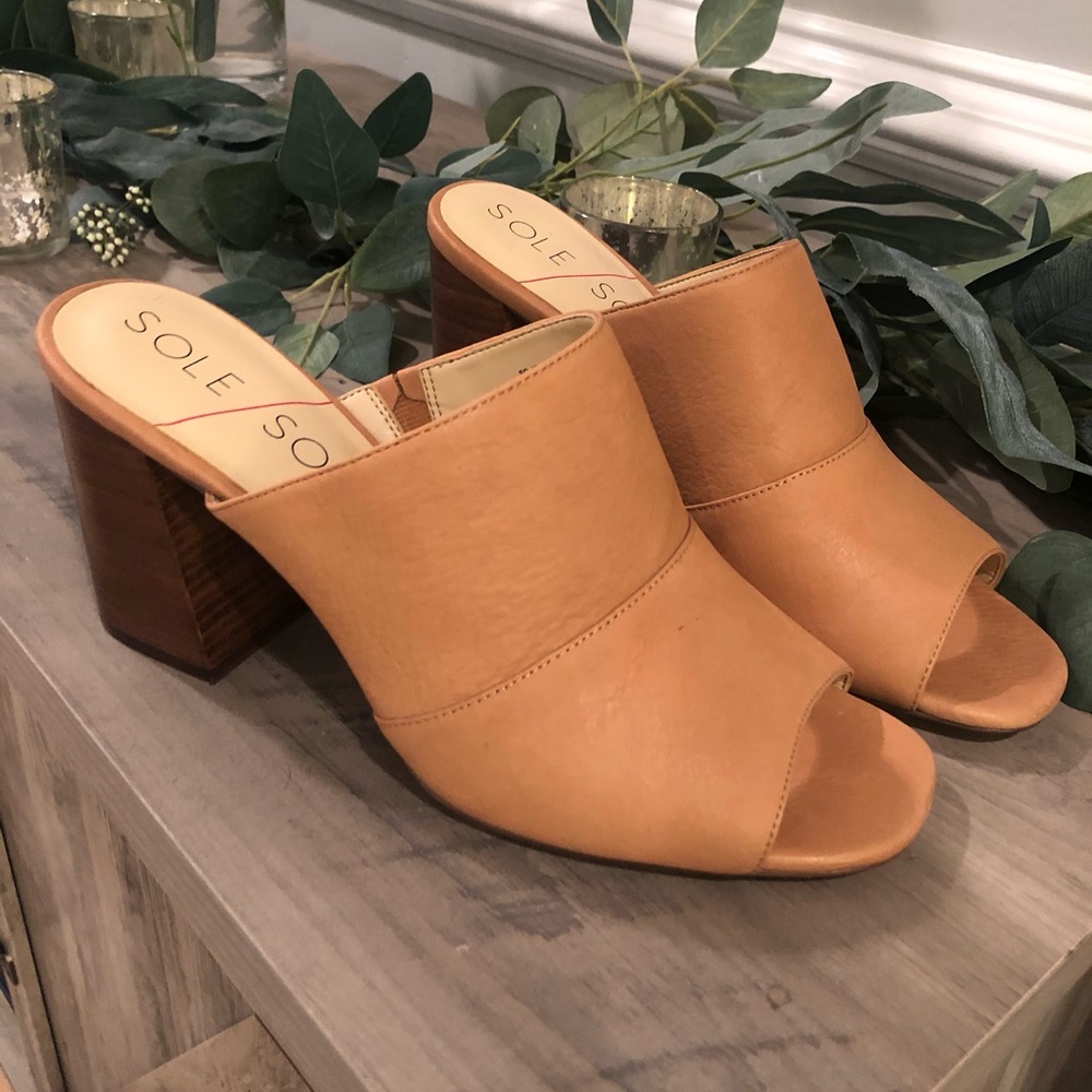 Sole Society, Joannah  sandal in size 9.5